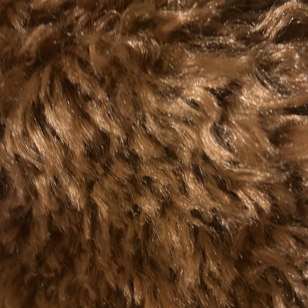 MAEVE 3X  “Teddybear” coat~like new! Made by Anthropologie.~SALE - Picture 7 of 10